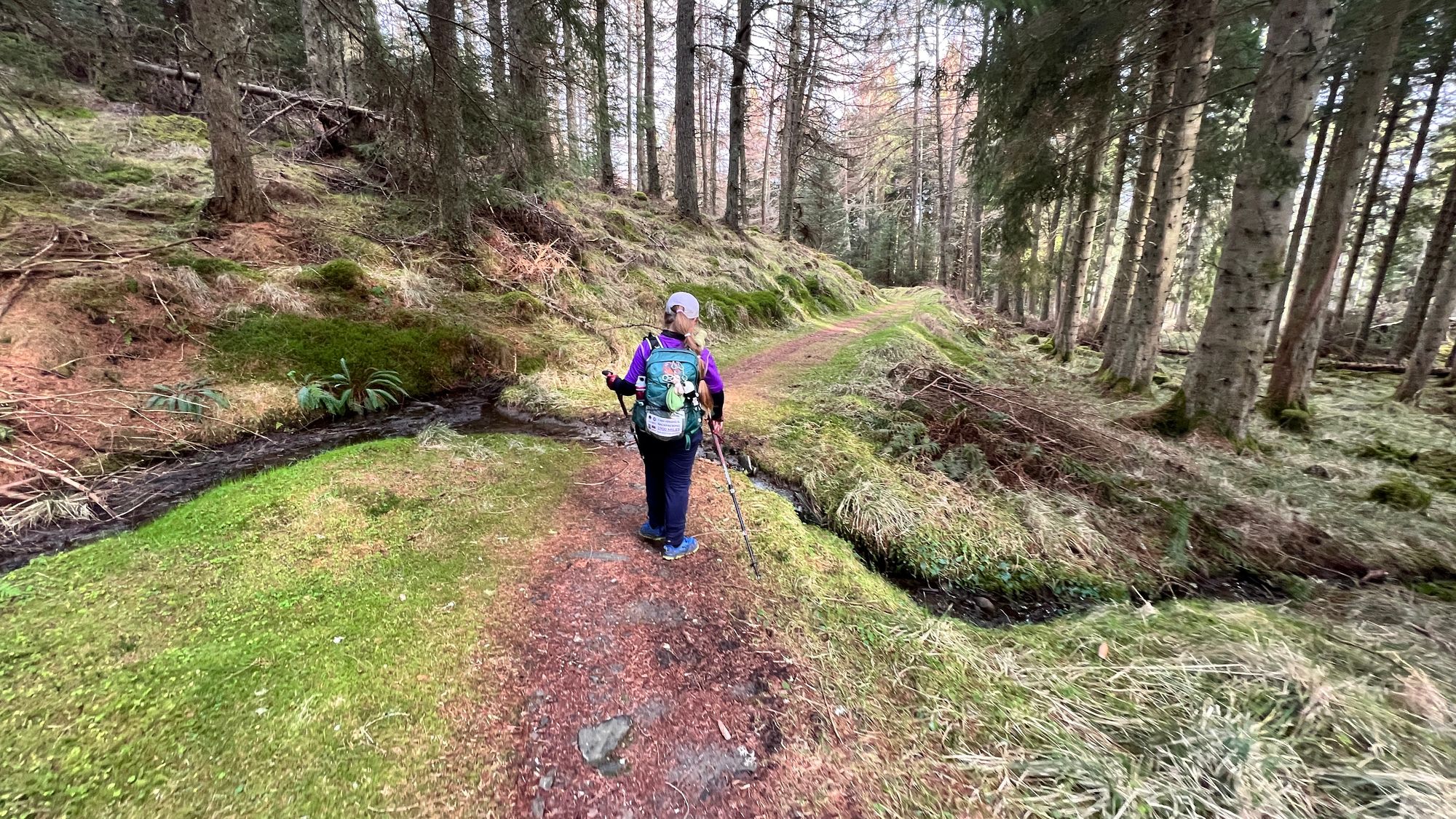 The paths through the Tay Forest were all easy to follow and soft underfoot. It was a pleasure