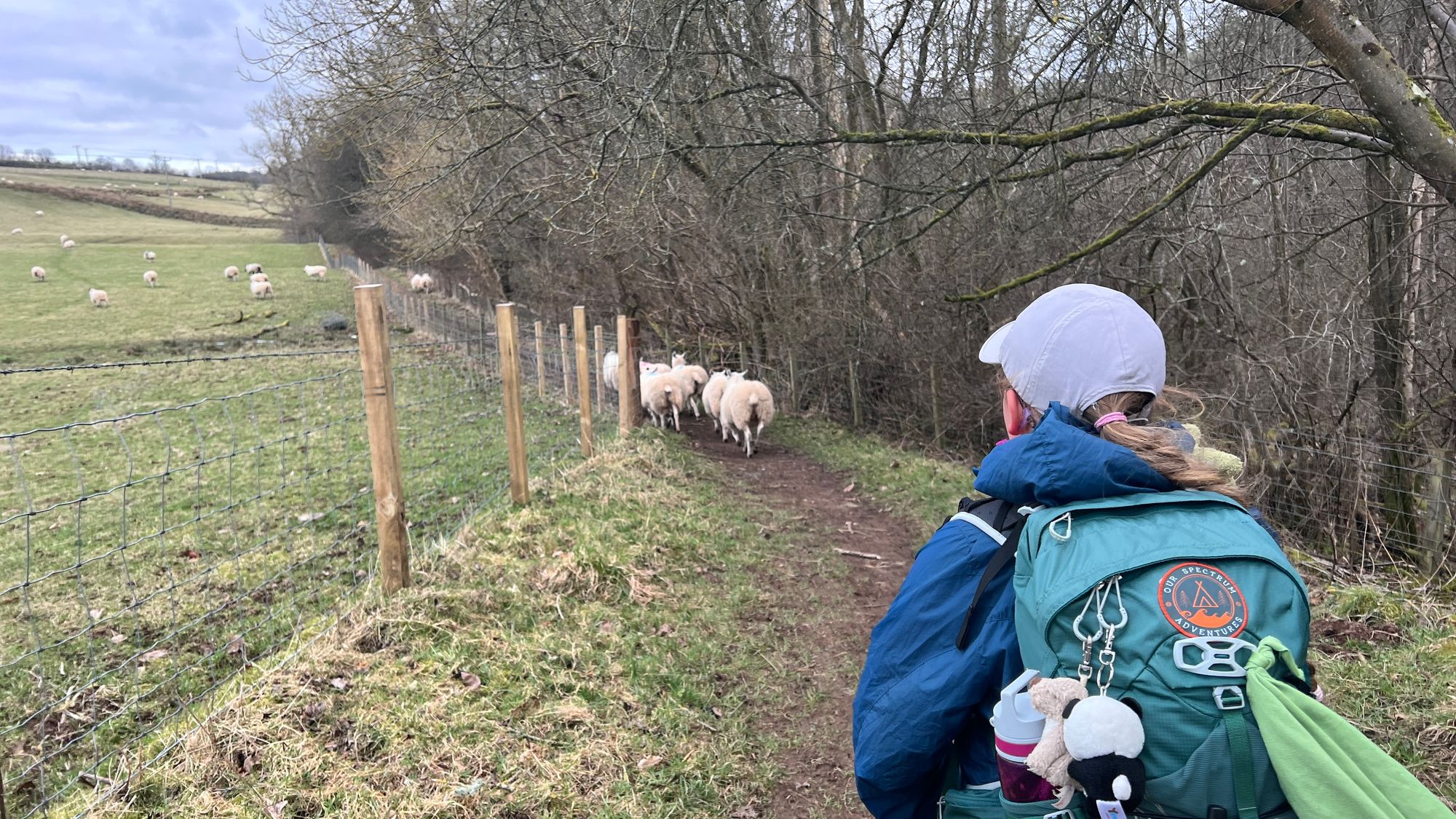 Following some sheep on the trail I struggled to keep up with Eve
