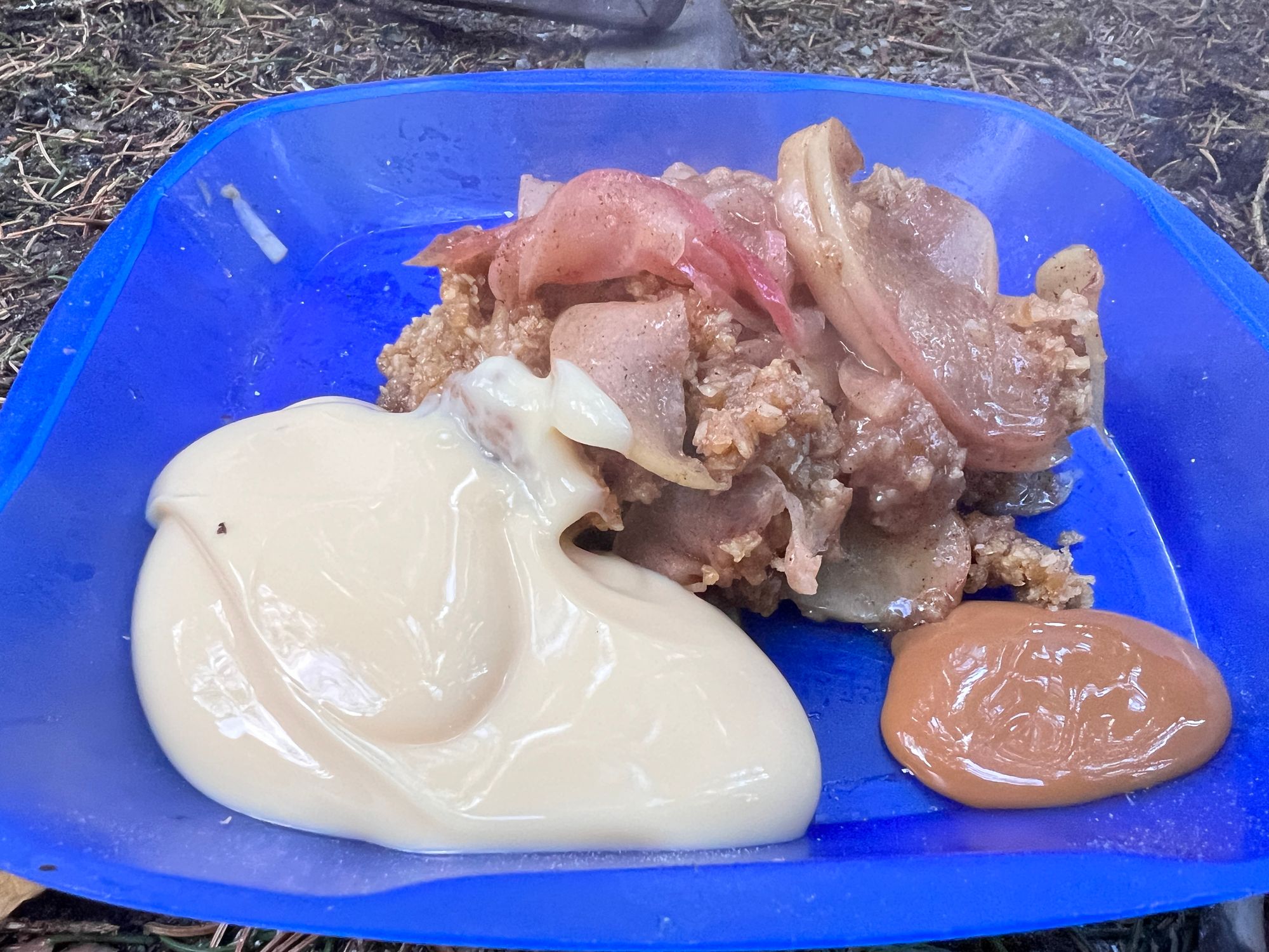 Mmmm delicious with custard and caramel sauce