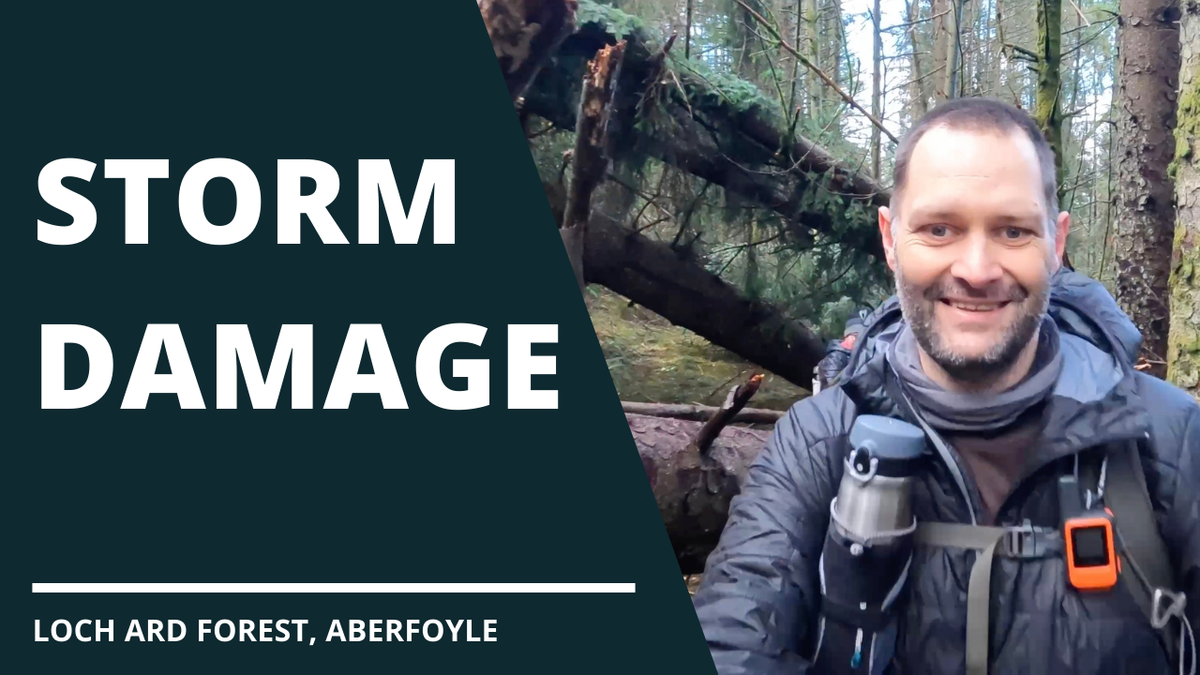 Storm Damage | Aftermath of Storm Post feature image