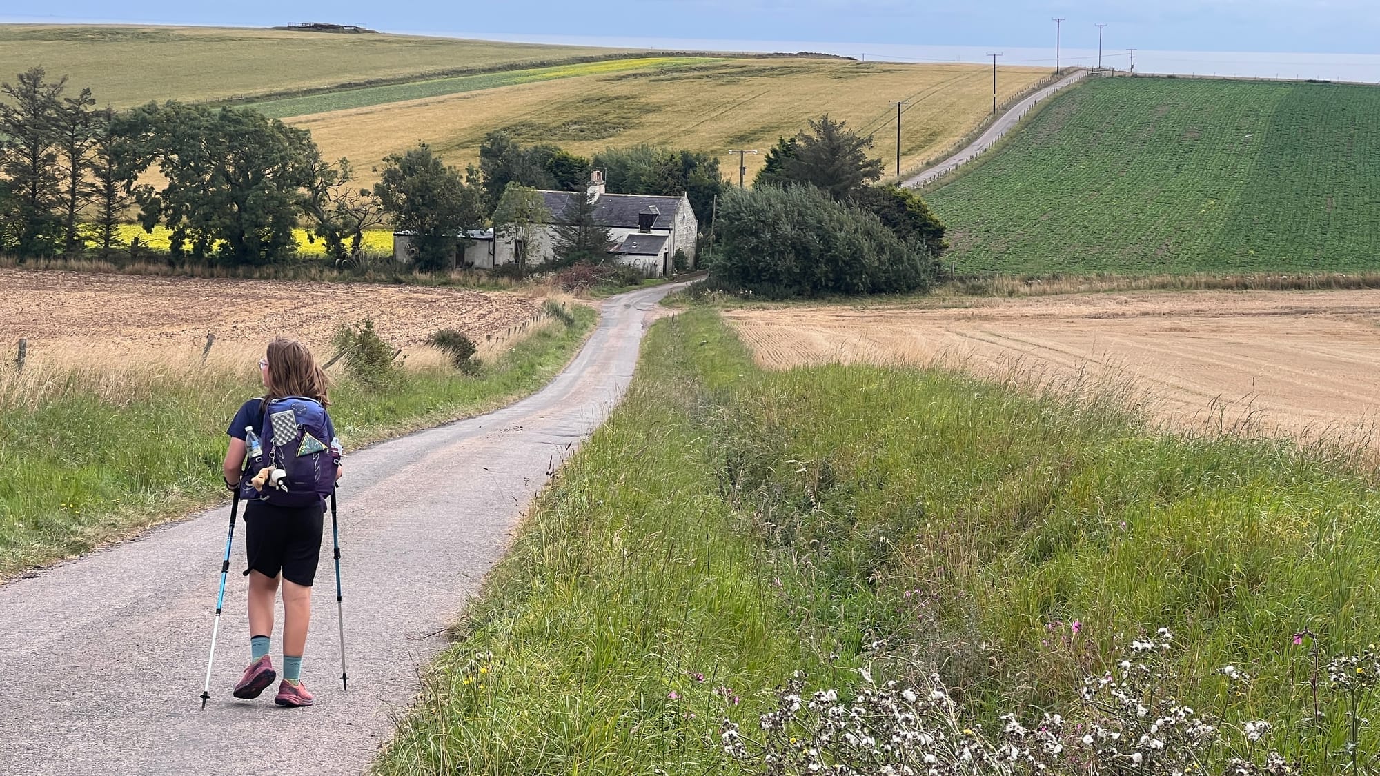 Haughs Bay, Johnshaven to Catterline | UK Coast Post feature image