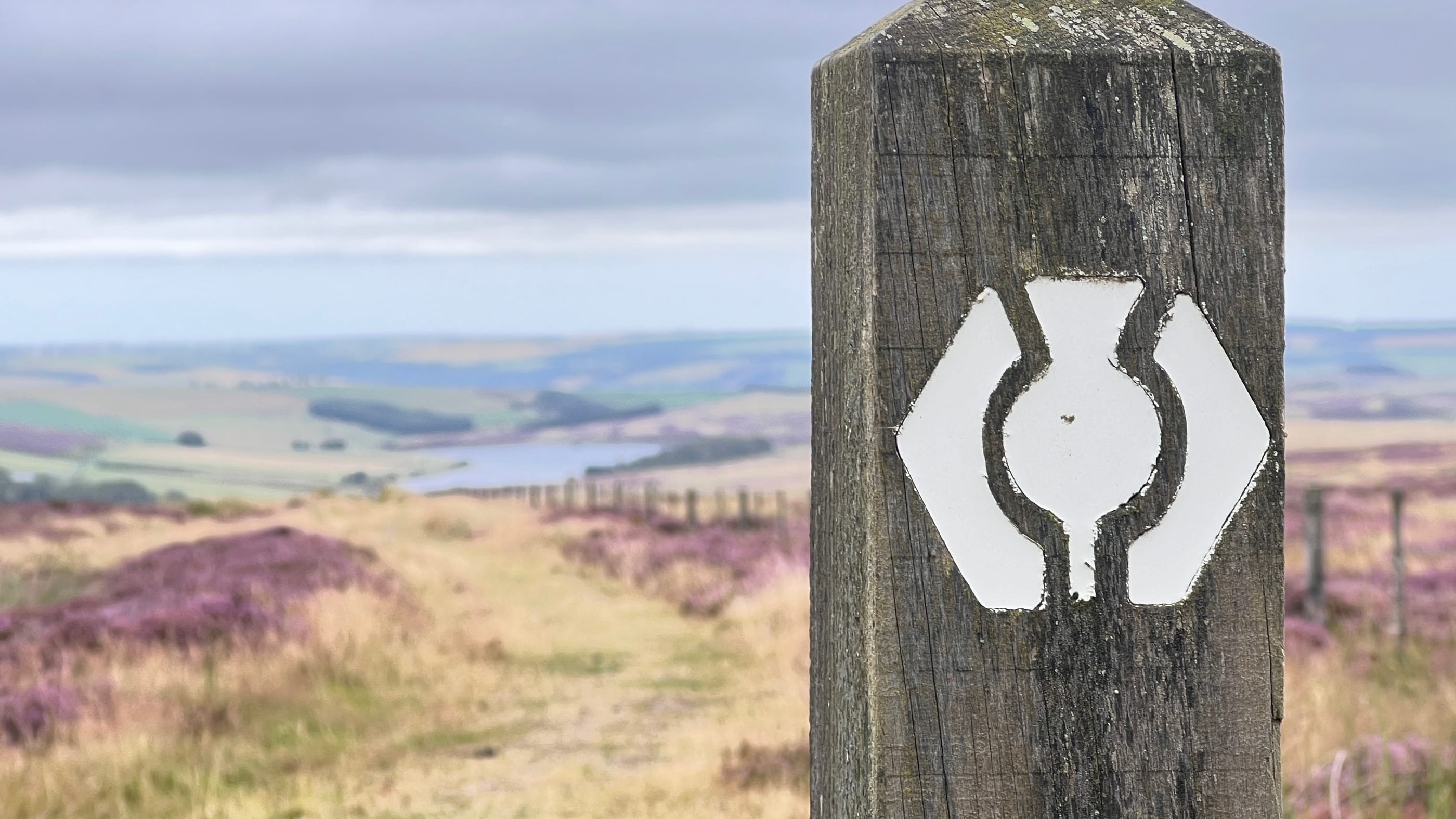 What are Scotland's Great Trails? feature image