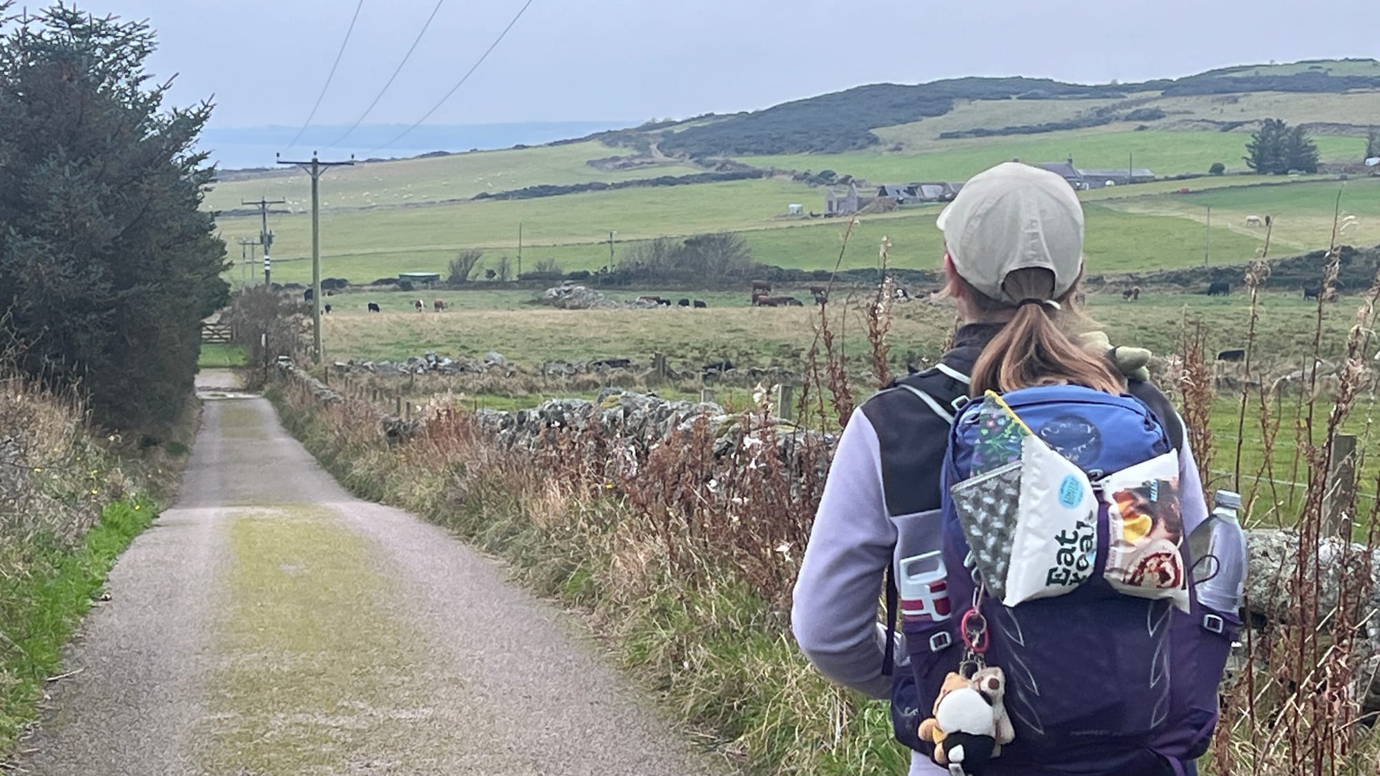 Skatie Shore, Stonehaven to north of Portlethen | Gallery feature image