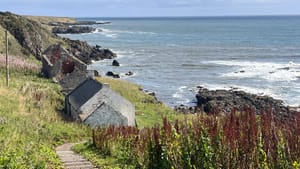 Lunan Bay to Montrose Bay | Gallery | UK Coast feature image